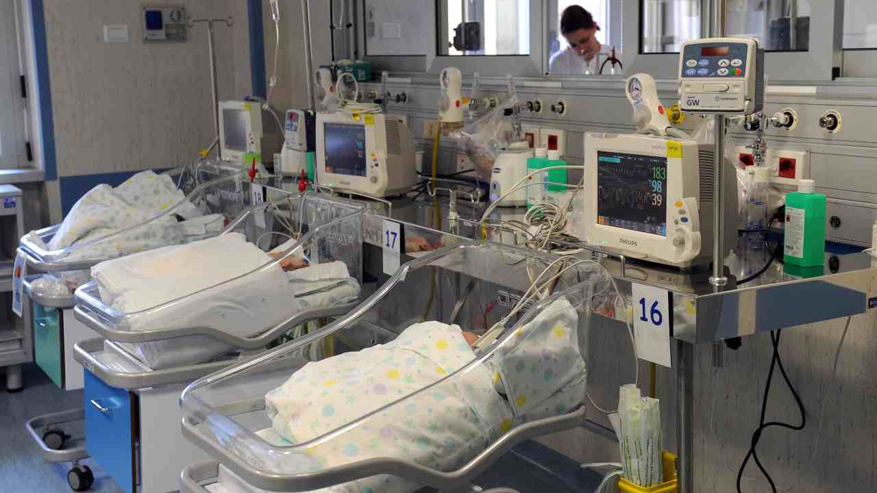 Napoli Neonato