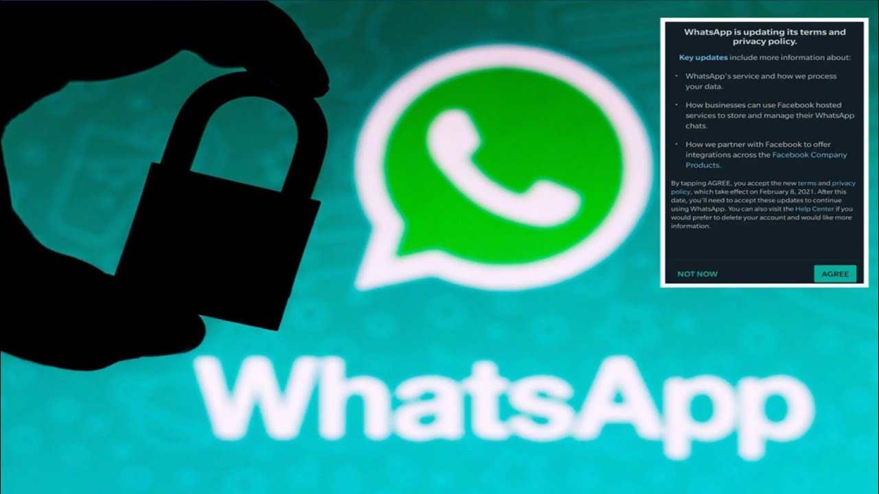 WhatsApp truffa profilo