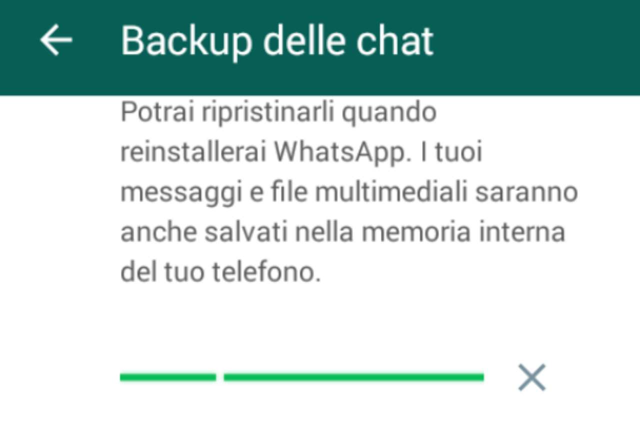 WhatsApp Backup trucchi