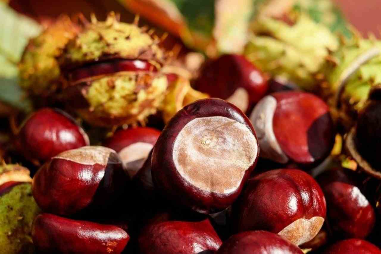 Periodo Castagne