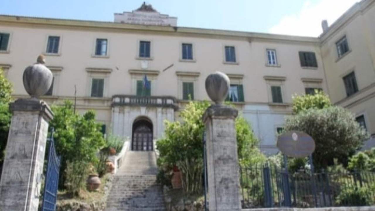 Il Collegio 6