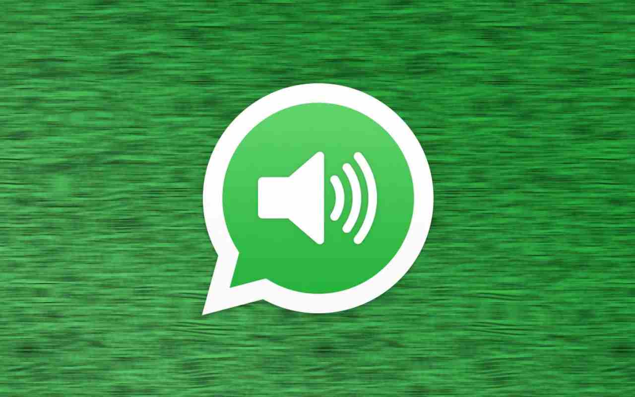 The WhatsApp