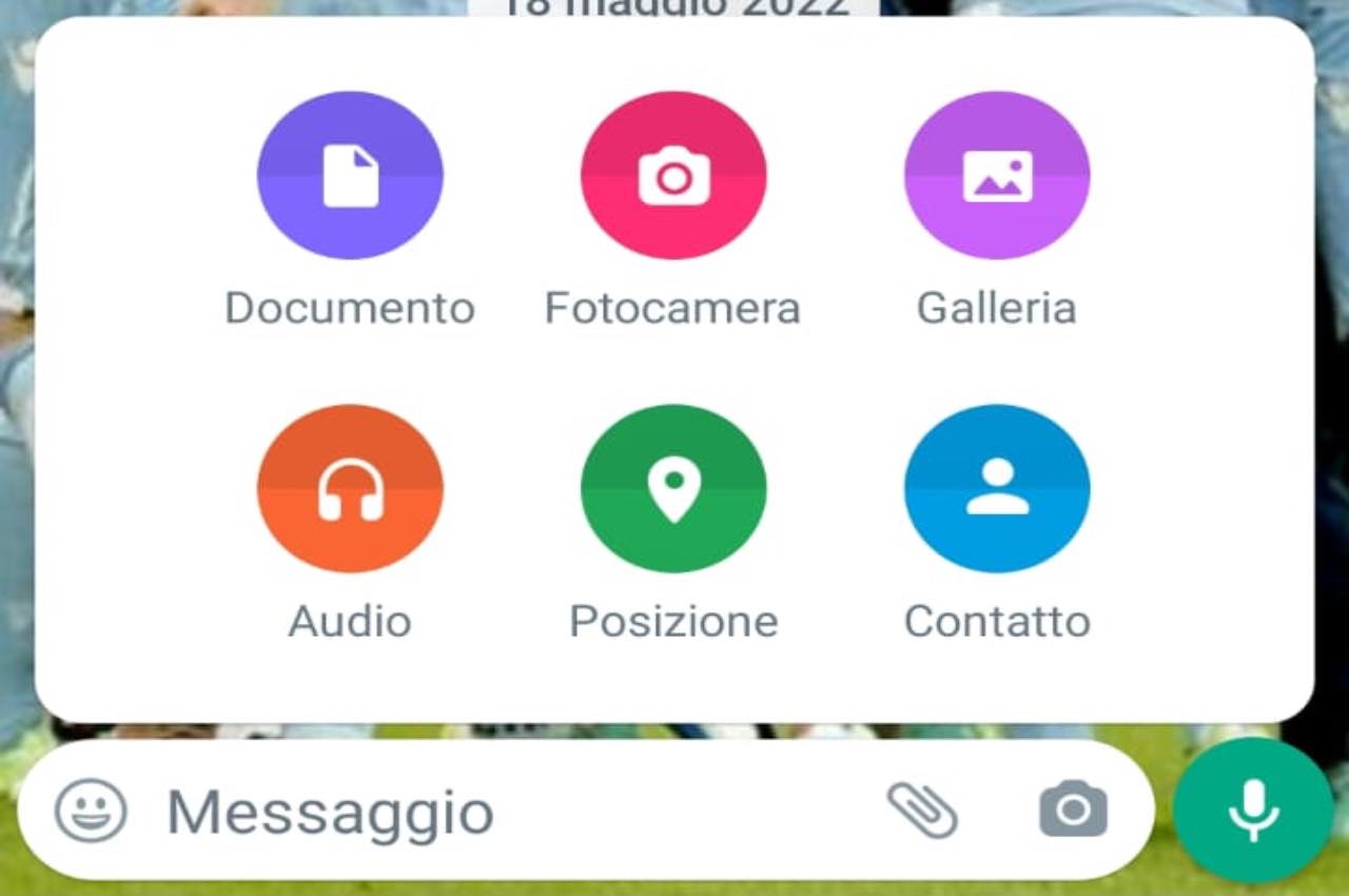 Whatsapp come inviare file Excel 