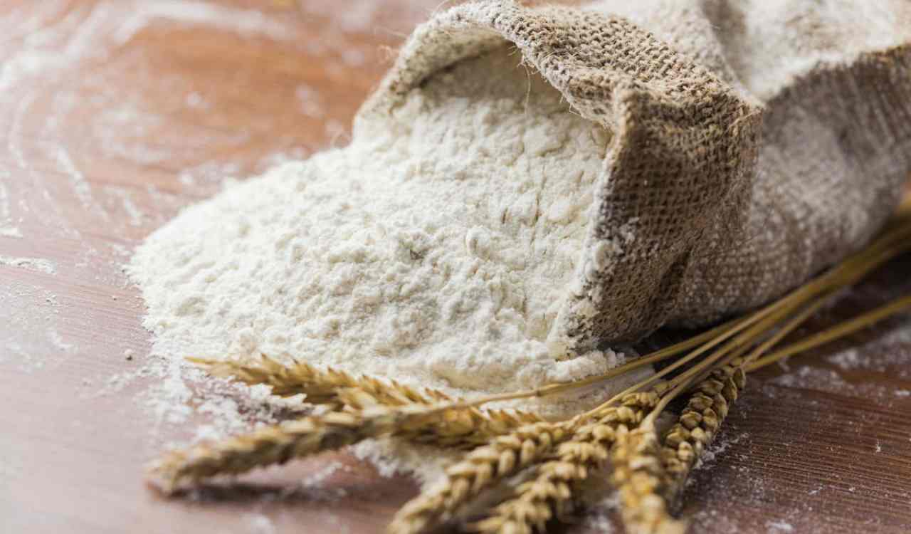 Importante farina italiana ritirata dal mercato: contiene sostanze chimiche tossiche