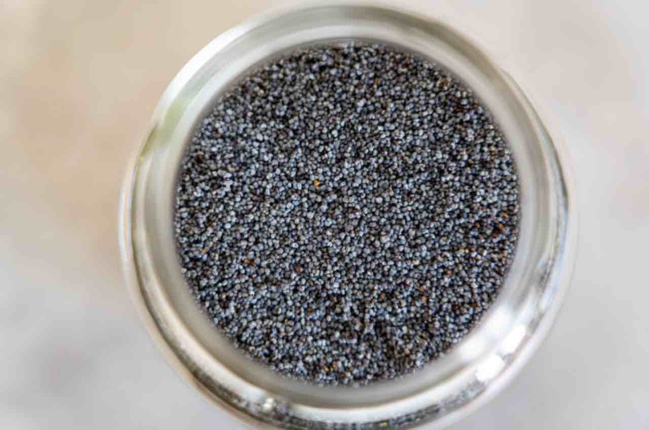 Semi di Chia