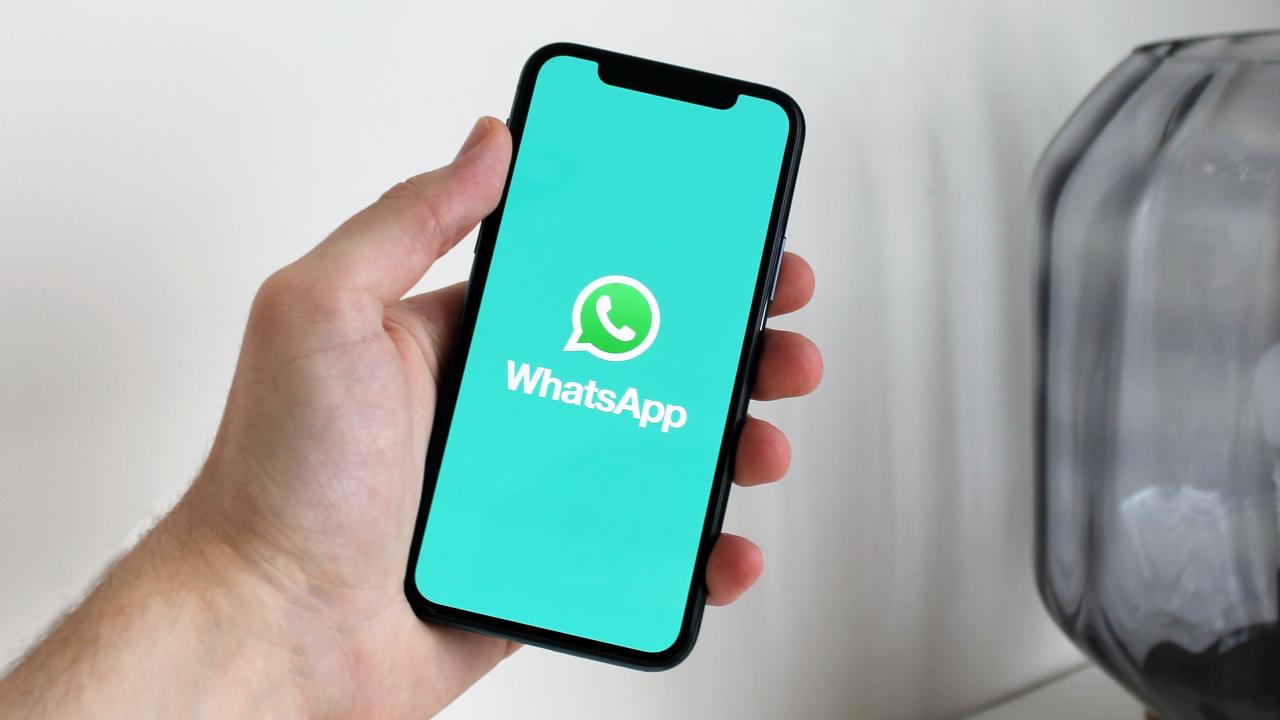 Whatsapp aggiornamenti 01-08-2022 Vesuvius