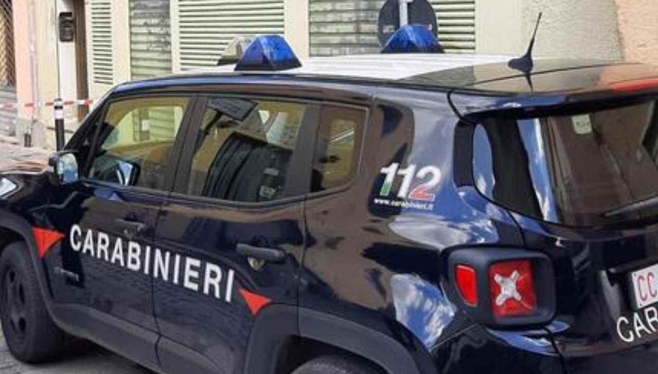 16enne accoltella la nonna